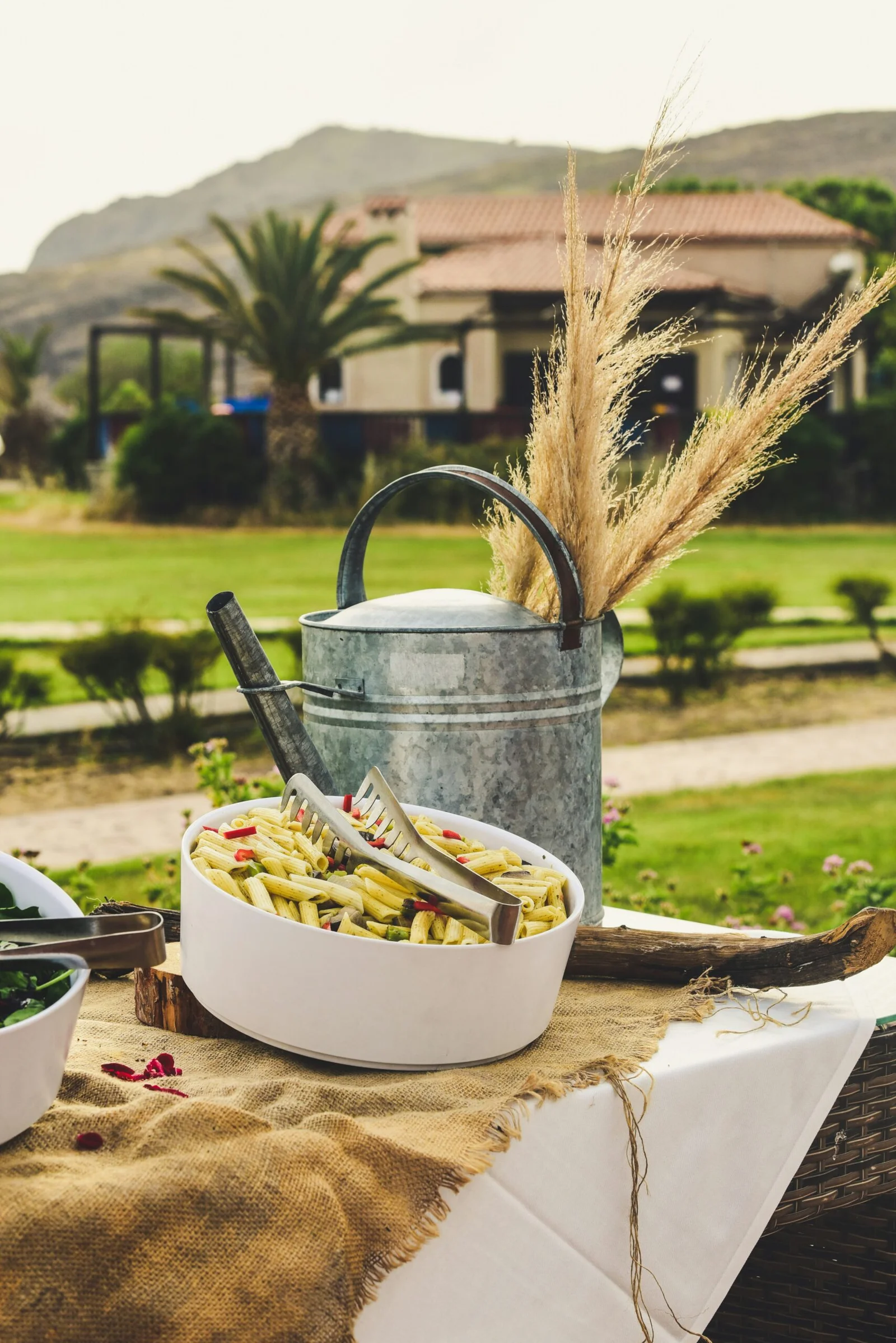 cooked food in bowl beside watering can pot